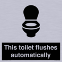this-toilet-flushes-automatically~